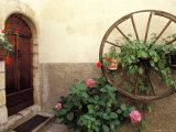 Historic Looking Courtyard Photographic Print by Fogstock Llc 