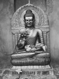 Bodh Gayh, India, Tibetan Buddhist Statue Fotografisk tryk af Elisa Cicinelli