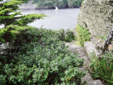 Seaside Garden, View Along Garden Path to Sea Headland Garden, Corwall, UK Lámina fotográfica por Mark Bolton