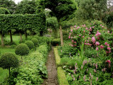 Stone Path Leading Between Parterre Herb Garden and Lawn Area Photographic Print by Mark Bolton