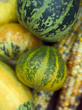 Sweetcorn and Gourds Lámina fotográfica por Mark Bolton Sweetcorn and Gourds Lámina fotográfica por Mark Bolton