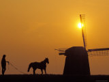 Running a Horse Around a Windmill Photographic Print