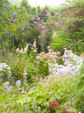 Statue Amongst Summer Planting Lámina fotográfica por Mark Bolton