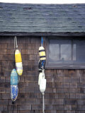 Buoys Hanging on a Shingled Wall Photographic Print