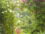 View Through Trellis Arch of Clematis Etoil Violette into Garden Lámina fotográfica por Mark Bolton