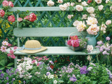 Summer Outdoor Arrangement Photographic Print by Lynne Brotchie