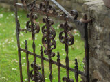 Rural Ireland - Iron Gate Lámina fotográfica por Keith Levit