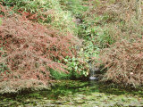 Large Pond & Waterfall Fotografisk trykk av Mark Bolton
