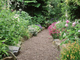 Gravel Path, View to Border Dactylorhiza, Dianthus, Lamium Rosa, Geranium, Digitalis Tasmania Fotografisk trykk av Christopher Fairweather Gravel Path, View to Border Dactylorhiza, Dianthus, Lamium Rosa, Geranium, Digitalis Tasmania Fotografisk trykk av Christopher Fairweather