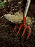 Mans Boot on Digging Fork, Prods in Soil Fotografisk trykk av James Guilliam Mans Boot on Digging Fork, Prods in Soil Fotografisk trykk av James Guilliam