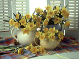 Spring Flower Arrangement of Narcissus in Jugs, Checked Cloth Fotografisk trykk av Erika Craddock Spring Flower Arrangement of Narcissus in Jugs, Checked Cloth Fotografisk trykk av Erika Craddock