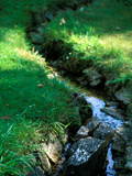 Large Garden with Water Feature and Stream, Mill House, Wiltshire Photographie par Lynn Keddie