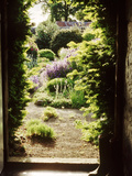 View Through Doorway Framed with Taxus to Country Flower Garden, Northumberland Photographie par Jacqui Hurst