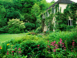 Wiltshire Bog and Woodland Garden with Pond and Lush Foliage Lámina fotográfica por Lynn Keddie
