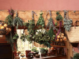 Bunches of Herbs Hanging to Dry Lámina fotográfica por P W Flowers Bunches of Herbs Hanging to Dry Lámina fotográfica por P W Flowers