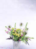 Herb & Wildflower Arrangement, Fennel, Sage, Nigella & Galega Styled by Lynn Keddie Fotografie-Druck von Lynn Keddie