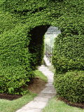 Arch in Taxus (Yew) Hedge Paving Slab Path Montacute, Somerset Fotografisk tryk af Brian Carter Arch in Taxus (Yew) Hedge Paving Slab Path Montacute, Somerset Fotografisk tryk af Brian Carter