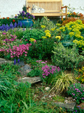 Garden with Views Towards the Great Glen, Scotland Photographic Print by Lynn Keddie