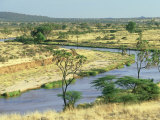 River Ewaso Ngiro, Samburu NR, Kenya Fotografisk trykk av Werner Bollmann River Ewaso Ngiro, Samburu NR, Kenya Fotografisk trykk av Werner Bollmann