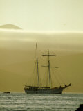 Sailing Vessel in Front of Isabela, Galapagos Fotografisk trykk av Werner Bollmann Sailing Vessel in Front of Isabela, Galapagos Fotografisk trykk av Werner Bollmann