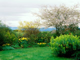 Garden with Views Towards the Great Glen, Scotland Photographic Print by Lynn Keddie