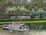 Wooden Barrow Against Low Clipped Box Hedges with Pleached Apple Trees; Old Grey Stone Wall Lámina fotográfica por Martine Mouchy Wooden Barrow Against Low Clipped Box Hedges with Pleached Apple Trees; Old Grey Stone Wall Lámina fotográfica por Martine Mouchy
