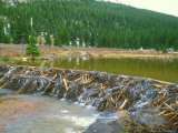 Beaver Dam on Small River, Colorado Photographie par David Boag