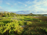 Coast of Santiago, Santiago, Galapagos Fotografisk trykk av Werner Bollmann Coast of Santiago, Santiago, Galapagos Fotografisk trykk av Werner Bollmann