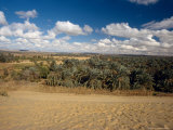 Baharia Oasis in the Desert, Egypt Photographic Print by Mike England