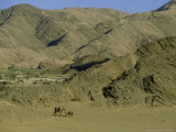 Desert-Dwelling Elephant, Mother and Calf in Desert, Hoanib River Valley Photographie par Martyn Colbeck