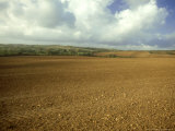 Wheat Field in Spring Photographic Print by Mike England