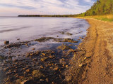 Morning Light on the Shore of Green Bay at Europe Bay County Park, Wisconsin, USA Photographic Print by Willard Clay