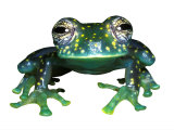 Glass Frog, Panama Photographic Print by David M. Dennis