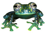 Glass Frog, Panama Photographic Print by David M. Dennis