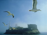 Alcatraz Prison, California, USA Photographie par John Downer