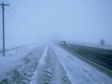 Snow Storm, Canada Photographic Print by David Cayless