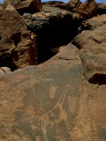 Rock Engravings, Namibia Photographic Print by Martyn Colbeck