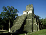 Mayan Ruins at Tikal, El Peten, Guatemala Photographic Print by Paul Franklin