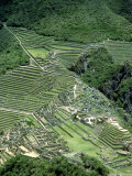 Machu Picchu Inca Ruins & Terracing Viewed from Huayna Picchu, Peru Photographic Print by Paul Franklin
