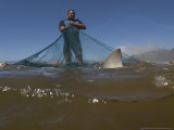 Fisherman with Copper Shark, Caught in Beach Seine Net, South Africa, Atlantic Ocean Photographie par Chris And Monique Fallows
