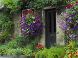 Country Cottages, England Photographic Print by Mark Hamblin