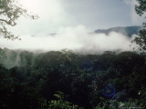 Mulu National Park, Borneo, Weather Time-Lapse, 8Am Photographic Print by Rodger Jackman