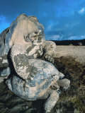 Giant Tortoise, Mating, Isabella Island, Galapagos Photographic Print by Mark Jones