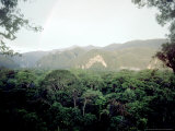 Mulu National Park, Borneo, Weather Time-Lapse, 6.30Pm Photographie par Rodger Jackman