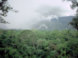 Mulu National Park, Borneo, Weather Time-Lapse, 4Pm Photographie par Rodger Jackman