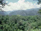Mulu National Park, Borneo, Weather Time-Lapse, 11.45 AM Photographie par Rodger Jackman