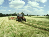 Chamomile, Being Harvested for Oil (Via Distillation) Hants, UK Photographic Print by Oxford Scientific