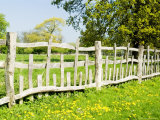 Deer-Proof Fence, Warwickshire, UK Lámina fotográfica por Martin Page Deer-Proof Fence, Warwickshire, UK Lámina fotográfica por Martin Page