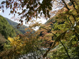Hase Valley, Japan Photographie par Alastair Macewen