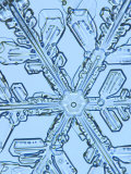 Snowflake, Close Up Photographic Print by Edward Kinsman